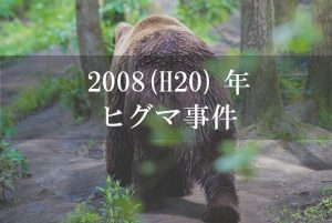 2008（平成20）年ヒグマ事件