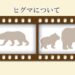 ヒグマ動画