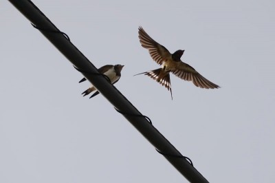 20140721_tbm2_001
