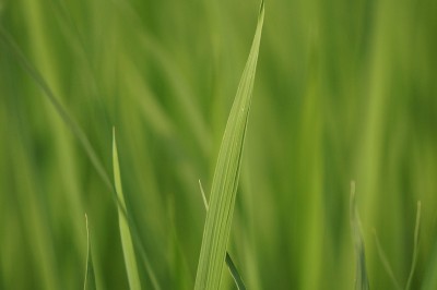 20140721_tbm3_001