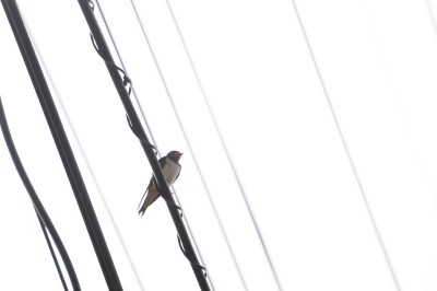 20140721_tbm3_004