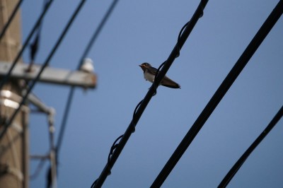 20140721_tbm3_005