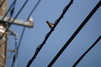 20140721_tbm3_006