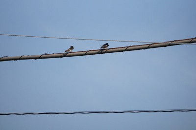 20140721_tbm3_007