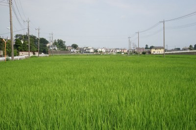 20140721_tbm_001