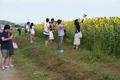 20140815_hmw_001