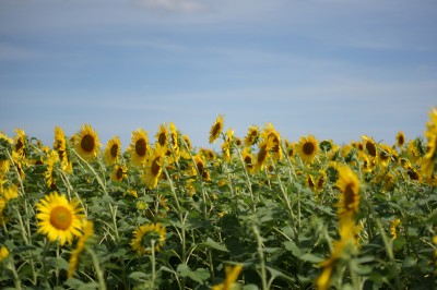 20140815_hmw_005