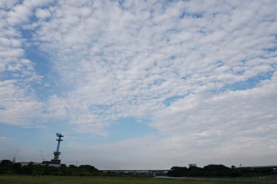 20140830_srb_001