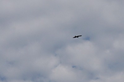 20140830_srb_002