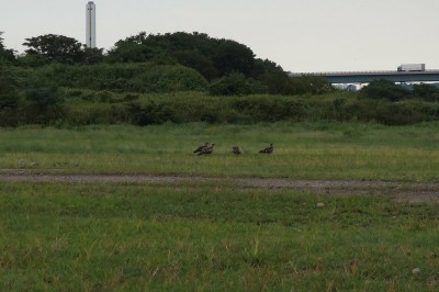 20140830_srb_004