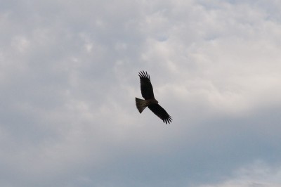 20140830_srb_005