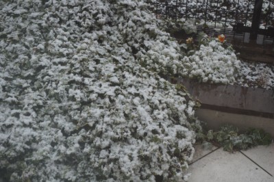 20150101_003