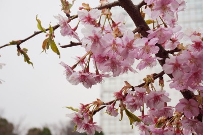 20150315_001