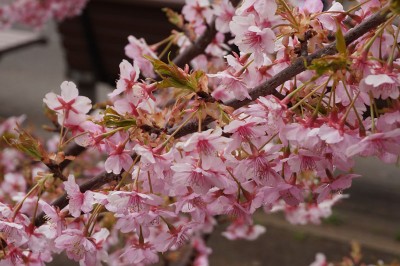 20150315_002