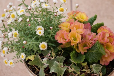 20150331_02_003