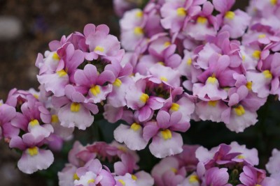20150331_02_007