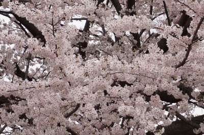 20150402_001