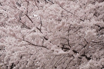 20150402_002