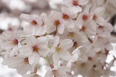 20150402_003