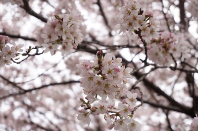 20150402_004