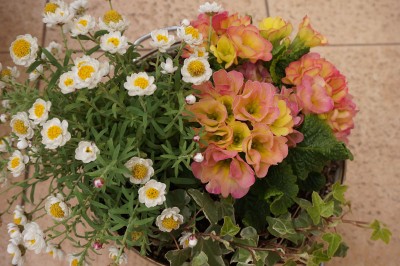 20150404_002