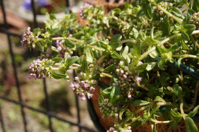 20150406_001