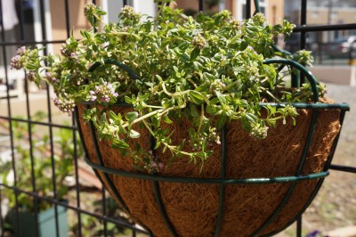 20150406_002