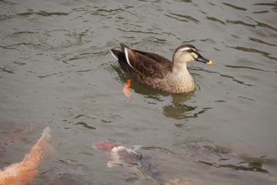 20150412_003