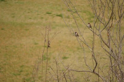 20150412_005