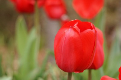 20150412_02_004