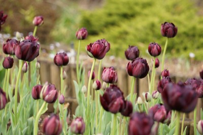 20150412_02_006