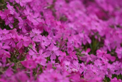 20150412_02_009