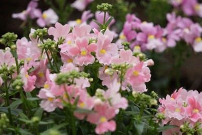 20150412_03_003