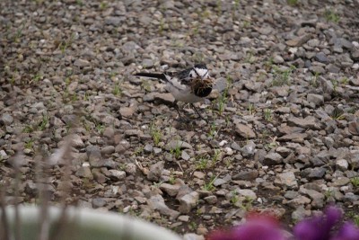 20150412_03_007