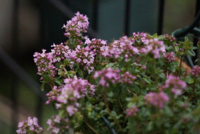 20150412_03_008