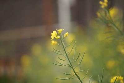 20150420_014