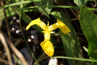 20150429_02_007