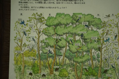 20150429_02_015