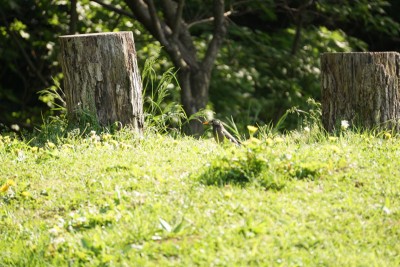 20150429_02_018