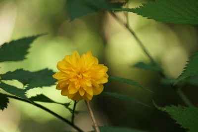 20150429_03_001