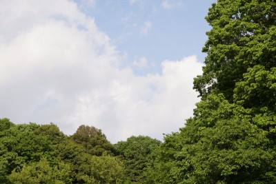 20150429_03_009