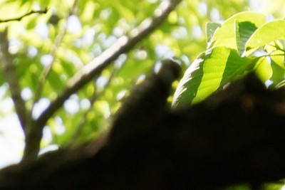 20150501_01_006