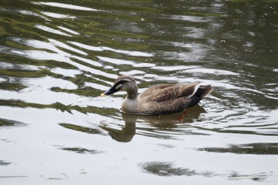20150501_02_010