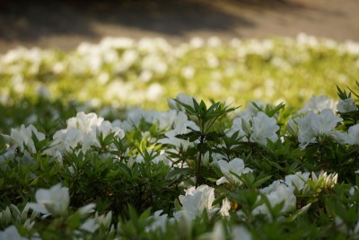 20150502_01_003