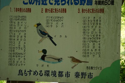 20150516_007