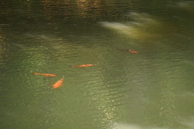 20150517_003