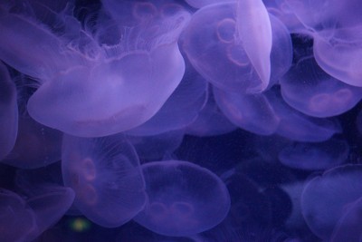 20150521_03_004