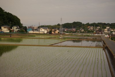 20150524_02_017