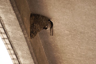 20150601_012