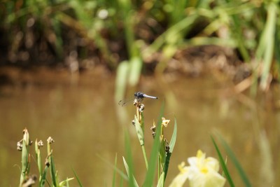 20150607_03_002